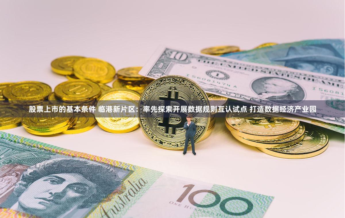 股票上市的基本条件 临港新片区：率先探索开展数据规则互认试点 打造数据经济产业园