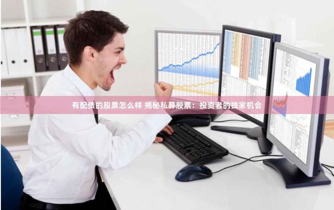 有配债的股票怎么样 揭秘私募股票：投资者的独家机会